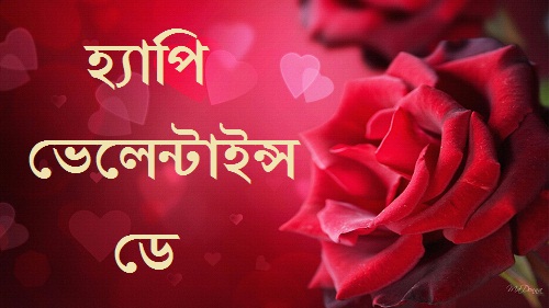 Valentines Day 2021