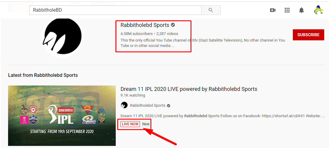 Rabbitholebd Live