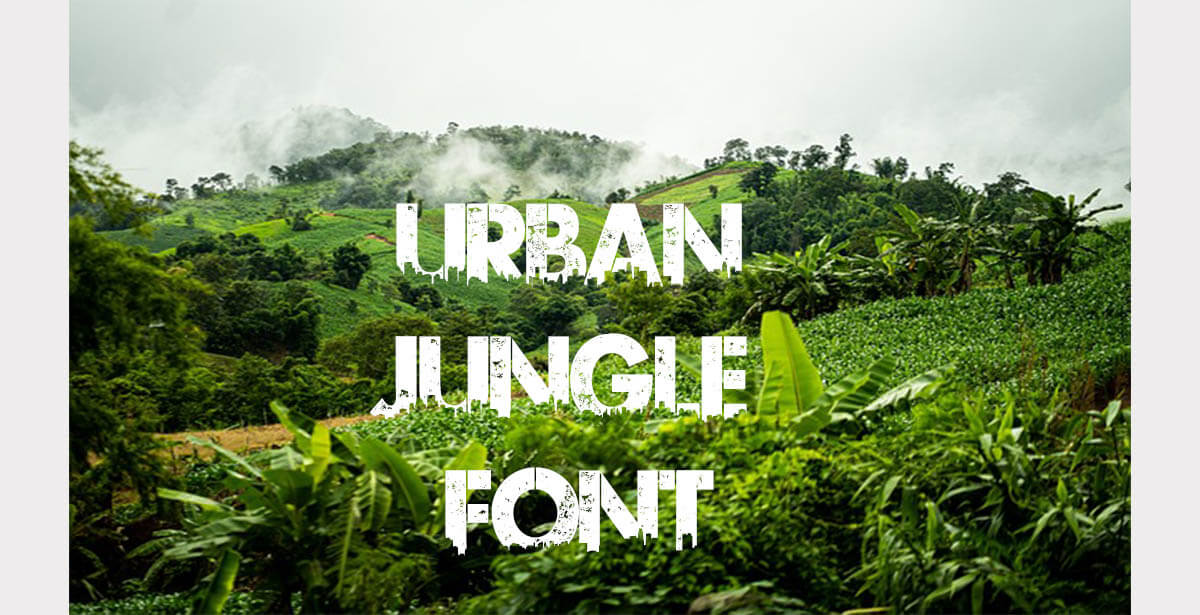 Urban Jungle Font Trending Now